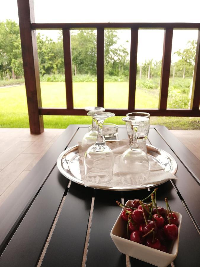 Casa De Vacanta Ayan Harman Luaran gambar